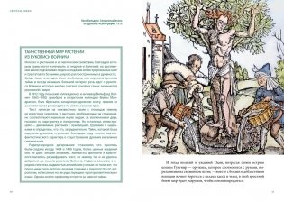 Магия трав и волшебный бестиарий. Сборный комплект из 2-х книг с шоппером фото книги 11