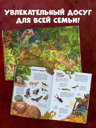 Секреты осеннего леса. Визуальная энциклопедия фото книги 4