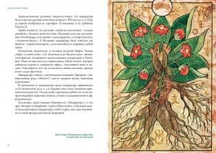 Викка. Зеленая магия, растения и ритуалы фото книги 6