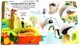 40 окошек. Откуда берутся дети фото книги 4