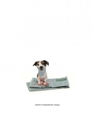 Я щенок фото книги 4