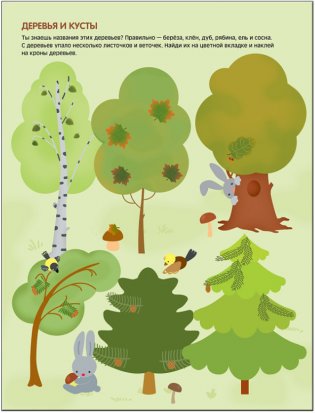 Чудесные наклейки. Подбери правильно фото книги 5