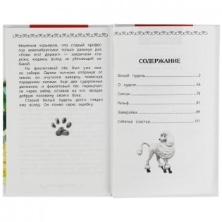 Белый пудель и другие рассказы. Внеклассное чтение фото книги 3