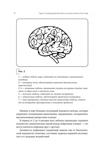 Нейропсихология детей от рождения до 10 лет. Развитие мозга и полезные игры фото книги 15