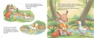 Утиная каша. Рассказ в картинках фото книги 4