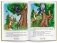 Русские народные сказки для говорящей ручки "Знаток". Книга 4: Лиса и тетерев, Хвост виноват, Лиса и журавль, Лиса и заяц, Как лиса летать училась фото книги маленькое 3