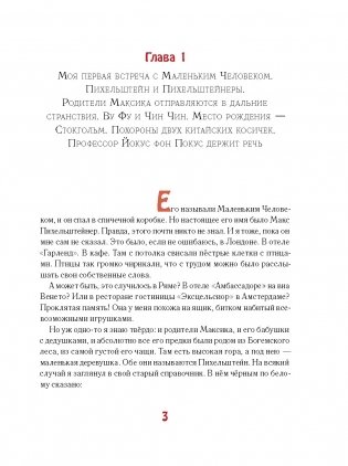 Мальчик из спичечной коробки 2-е изд. фото книги 2