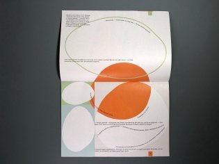 Странная оранжевая косточка фото книги 5