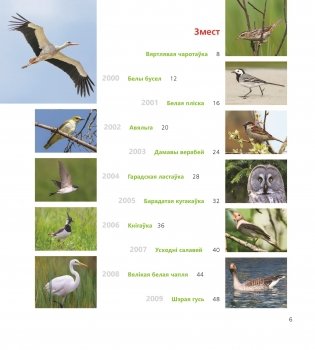 Птушка года Беларусі 2000—2020 фото книги 4