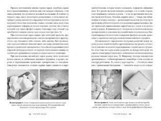 Заново изобретая колесо: молоко, микробы и битва за настоящий сыр фото книги 4