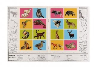 Времена года. Раскраска "Найди и раскрась" с наклейками фото книги 2