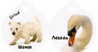 Крошки-ладошки. Цвета фото книги 4