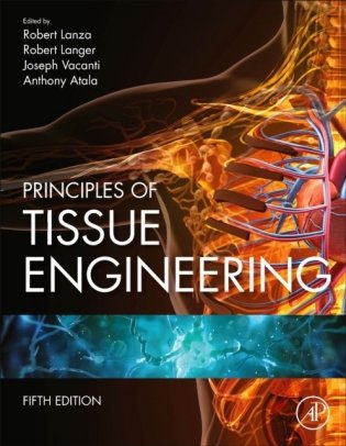 Principles Of Tissue Engineering фото книги