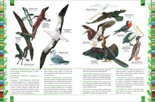 Животные. Большая энциклопедия фото книги 2