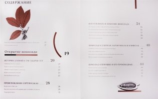 Шоколад фото книги 2