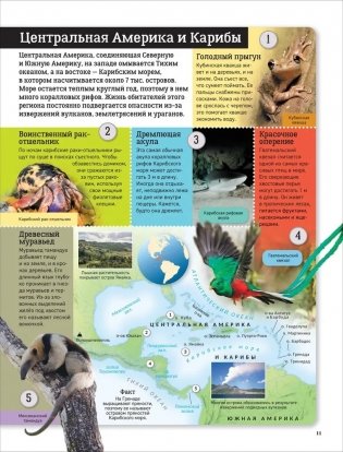 Детский атлас. Животные мира фото книги 6