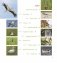Птушка года Беларусі 2000—2020 фото книги маленькое 5