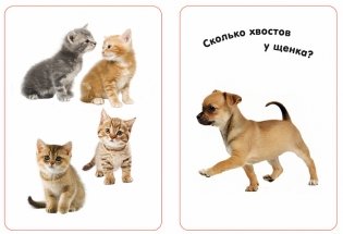 Развивающие карточки "Изучаем цифры", 36 карточек фото книги 2