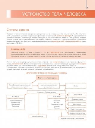 Анатомия и физиология. Большой популярный атлас фото книги 10