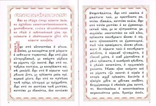 Последование во Святую и Великую Неделю Пасхи фото книги 2