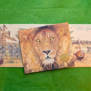 The Lion & the Mouse фото книги 4