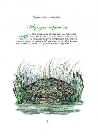 Чаму муха ва ўсе бакі бачыць фото книги 5