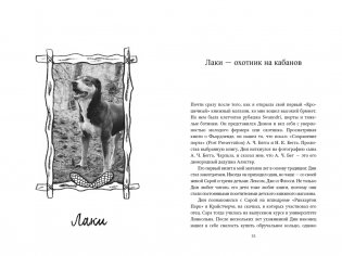 Собаки книжного магазина на краю света фото книги 6