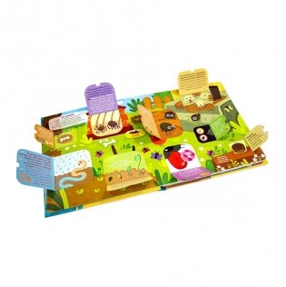 Что мы видим в микроскоп? фото книги 4