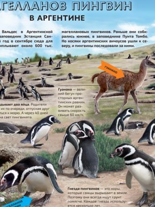 Моря и океаны. Иллюстрированный атлас фото книги 6