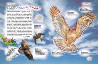 Новая энциклопедия для любознательных фото книги 3