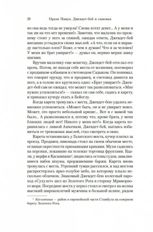 Джевдет-бей и сыновья фото книги 18