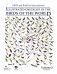 HBW and Birdlife International Illustrated Checklist of the Birds of the World Vol.2 фото книги маленькое 2