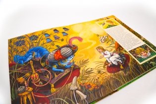 Алиса в Стране Чудес фото книги 5