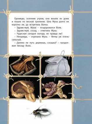 Как Муха себе мужа искала фото книги 4