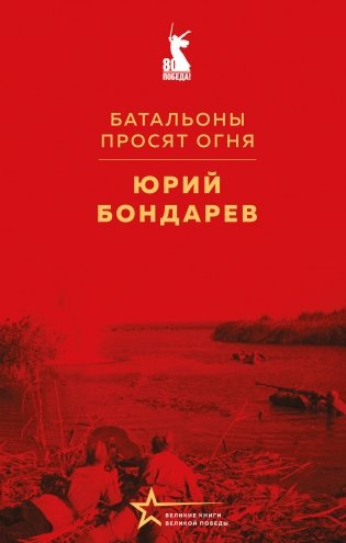 Батальоны просят огня фото книги