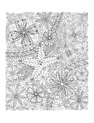 Зачаровывающие цветы фото книги 2