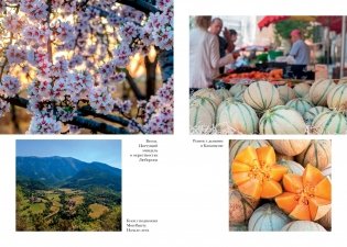 Год в Провансе фото книги 2