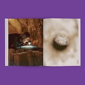 Who's Afraid of Romanee-Conti? A Shortcut to Drinking Great Wines фото книги 5