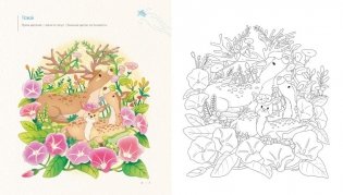 Летним днём в Корее. Раскраски-антистресс, которые подарят тёплые чувства фото книги 6