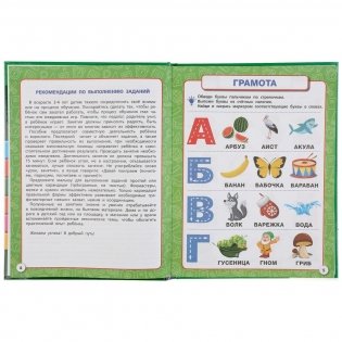 Полный годовой курс. 3-4 года фото книги 4