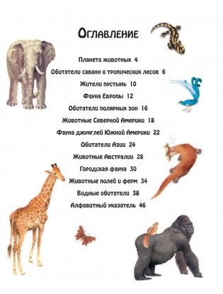 Животные фото книги 4