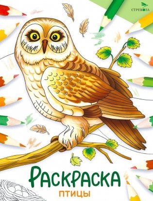 Птицы: раскраска фото книги