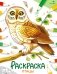 Птицы: раскраска фото книги маленькое 2