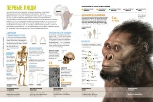 Тайны тела человека. Большая иллюстрированная энциклопедия фото книги 3