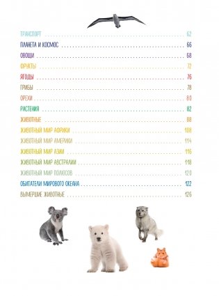 Моя первая книга. Изучаю все вокруг фото книги 6