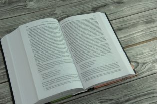 "Свидетель терпеливый..." Дневники, мемуары фото книги 4