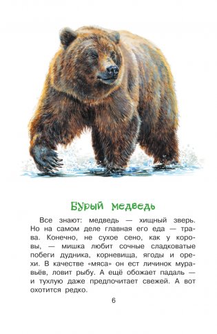 Кто живёт в лесу? фото книги 7