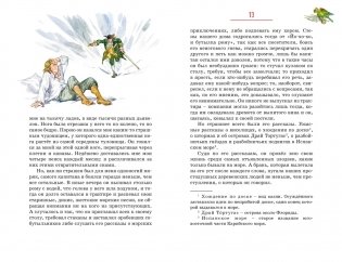 Остров Сокровищ фото книги 7