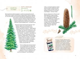 Деревья. Атлас-определитель фото книги 2