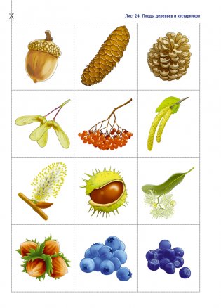 Природа в развитии и воспитании детей дошкольного возраста. 5—7 лет. Учебное наглядное пособие. ГРИФ фото книги 8